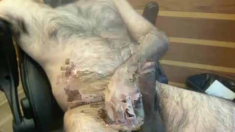 rotoball007 online show from 01.30.25