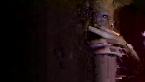 rotorranch online show from 10.02.25