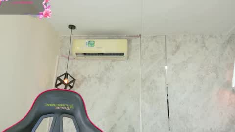 Rous online show from 03.06.26