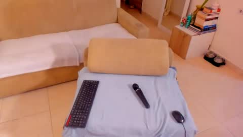 Snapshot of rous_r chatting on 06.27.26 Rous online show from 06.27.26