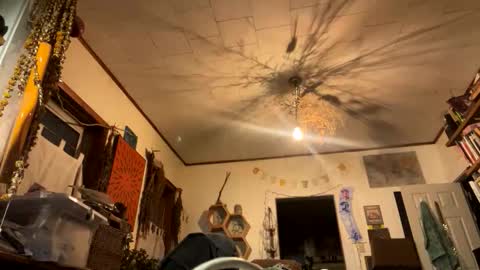 rp131313 online show from 11.09.25