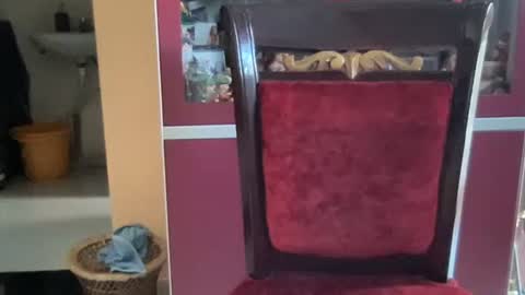 rsex2007 online show from 11.11.25