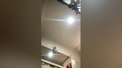 Rubi online show from 03.08.26