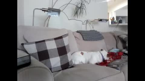 Snapshot of rustyx22 chatting on 03.06.25 Rusty online show from 03.06.25