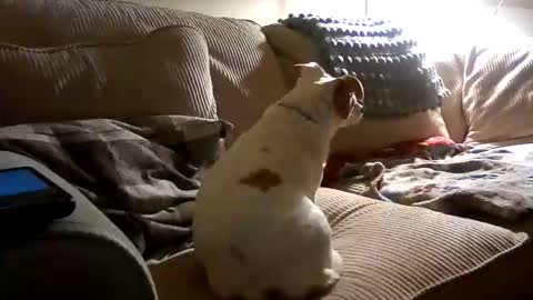 Snapshot of rustyx22 chatting on 10.18.25 Rusty online show from 10.18.25