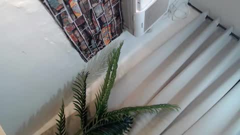 Its me Ryan  online show from 01.26.25