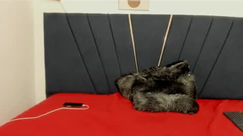 ryder_cum23 online show from 11.12.25