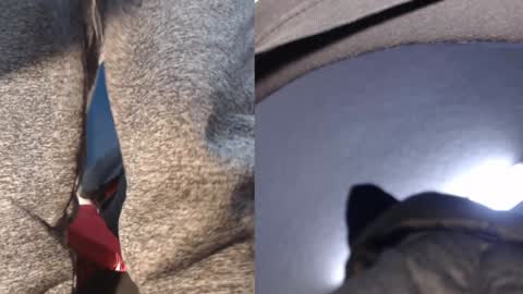 Ryushi009 online show from 01.21.25