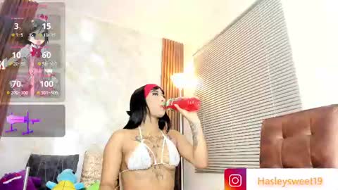  Hasley  online show from 08.06.26