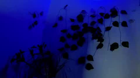 SABRI online show from 04.01.26