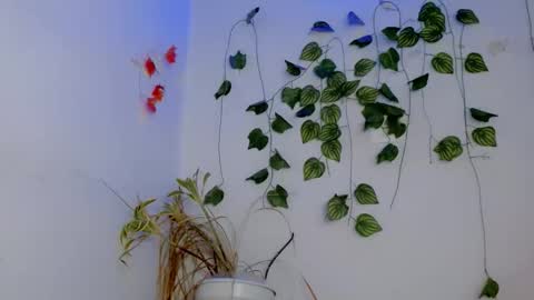 SABRI online show from 04.04.26