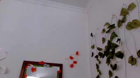 SABRI online show from 06.17.26