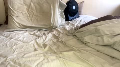 Snapshot of sackskincreamer chatting on 01.26.25 R online show from 01.26.25