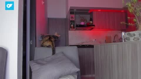 Sag online show from 01.21.25