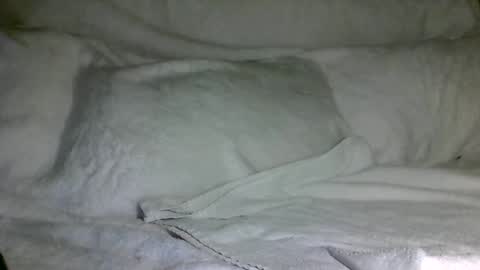 Snapshot of saintd17 chatting on 12.31.24 SD17 online show from 12.31.24