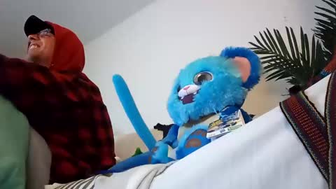 salis1981 online show from 01.22.25