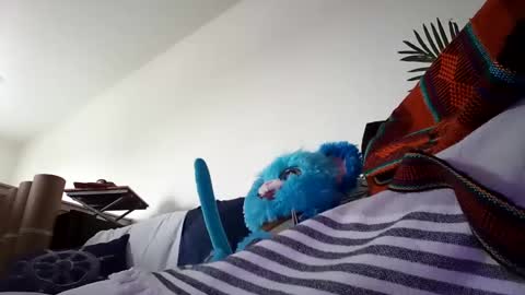 salis1981 online show from 01.25.25