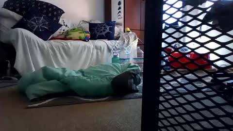 salis1981 online show from 02.07.25