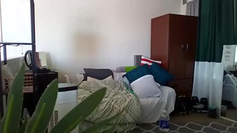 salis1981 online show from 03.11.25