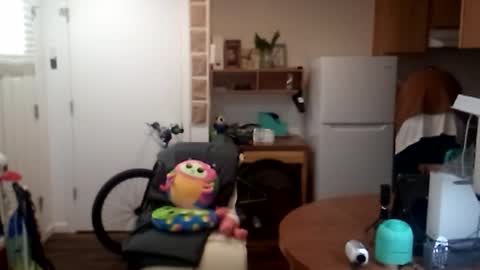 salis1981 online show from 09.25.25