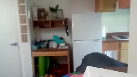 salis1981 online show from 09.27.25