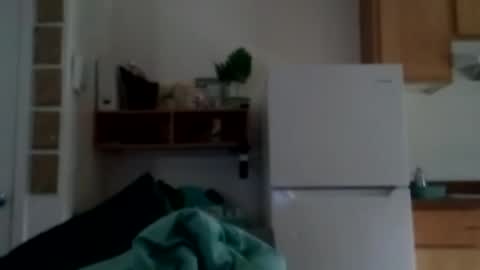 salis1981 online show from 10.25.25