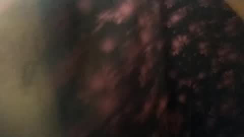 salmonman1305 online show from 01.17.25