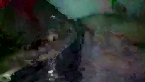 sam223382879 online show from 12.31.24