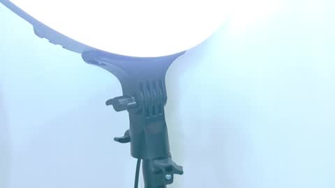   online show from 11.17.25