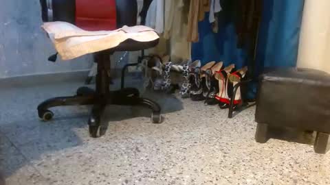 samanta online show from 02.03.26