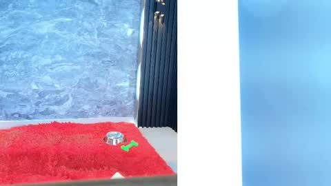 Samantha online show from 02.11.25