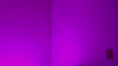 Snapshot of samdemia chatting on 12.27.24 Sam Demia online show from 12.27.24