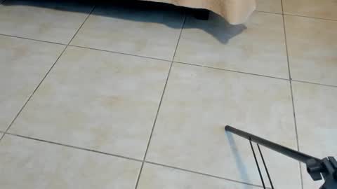 Axel online show from 11.02.25