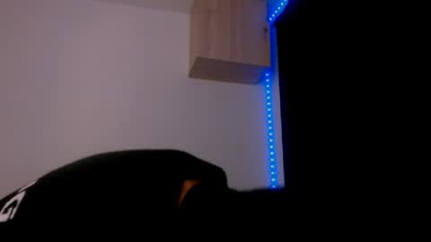 Snapshot of samuel_suarez chatting on 12.29.24 online show from 12.29.24