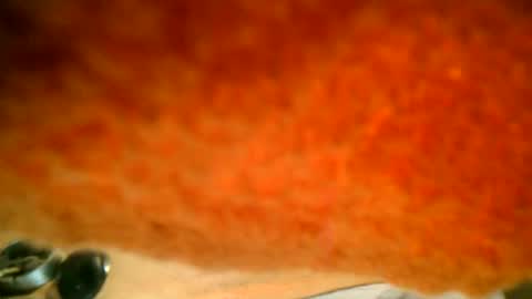 samueltal online show from 10.16.25