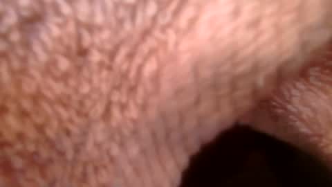 Snapshot of samueltal chatting on 02.21.26 samueltal online show from 02.21.26