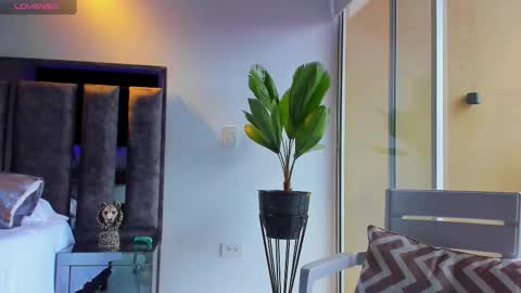 Santiago Seans online show from 10.08.25