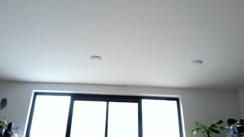 Snapshot of sapphire_mei866 chatting on 05.14.26 safir online show from 05.14.26