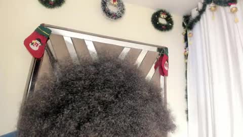 SARA 730 A 200 PM  online show from 12.20.25