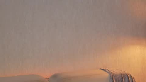       online show from 03.26.26