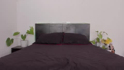 Girl next door online show from 01.13.25