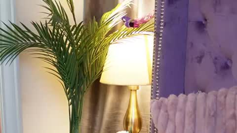  Sarai  online show from 07.14.26