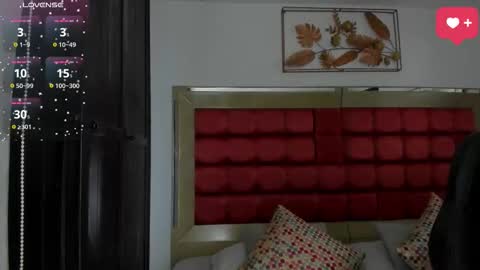      online show from 02.11.26