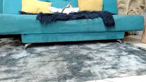 sarita_klein online show from 03.02.26