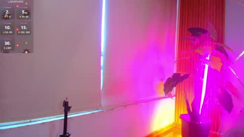 sasha_gracee_ online show from 04.08.26