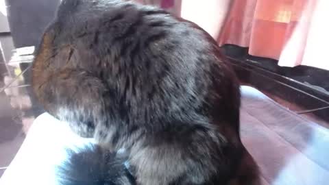 Snapshot of sasha_start chatting on 03.01.26 sasha start online show from 03.01.26