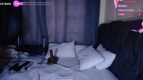 andrea harding online show from 01.08.26