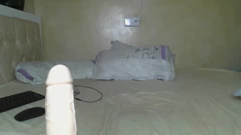 Snapshot of sassie_bee chatting on 02.21.25 sassie_bee online show from 02.21.25