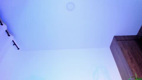     online show from 03.02.26