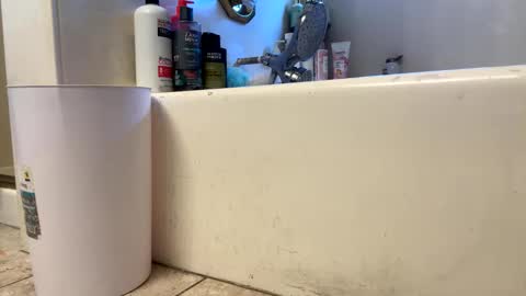 Snapshot of saucy_latino chatting on 03.01.26 ElVergone online show from 03.01.26